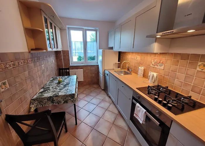 公寓 Lelum Polelum 格但斯克